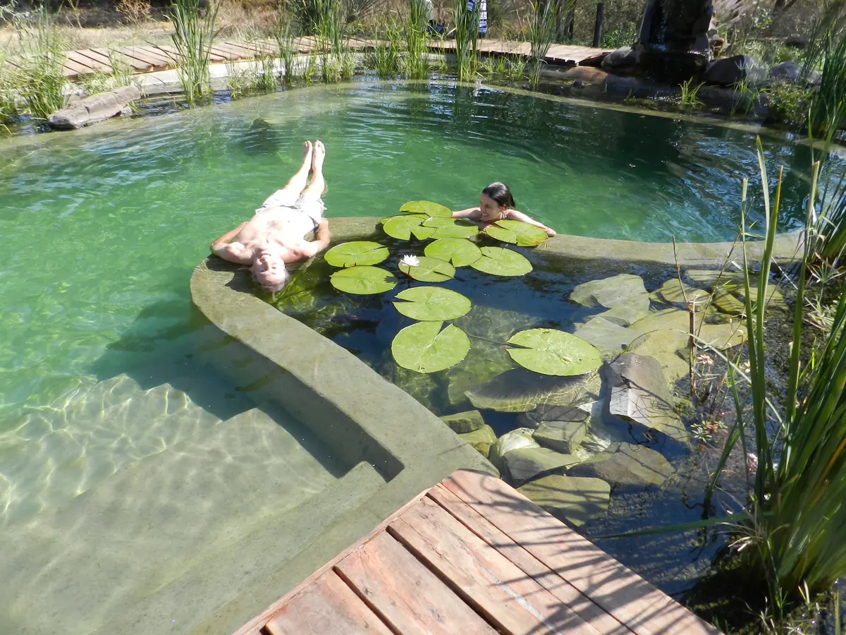 People swimming in clean natural pool water